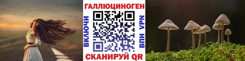 Псилоцибиновые грибы мицелий  Михайловка 